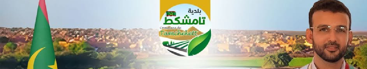 بلدية تامشكط